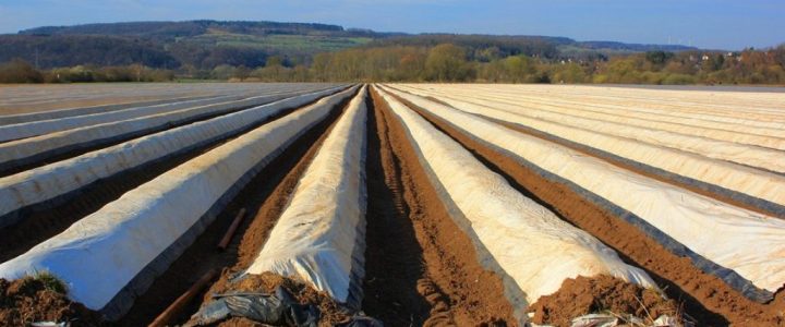 isc-mikroplastik-auf-dem-acker-vermeiden