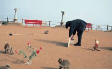 Exhibition for the Monkeys, 1992