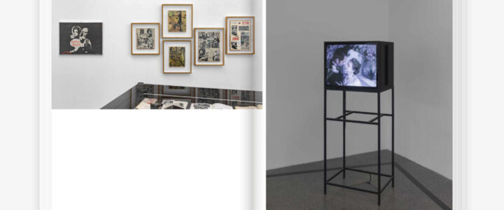 monografia Lucia Marcucci